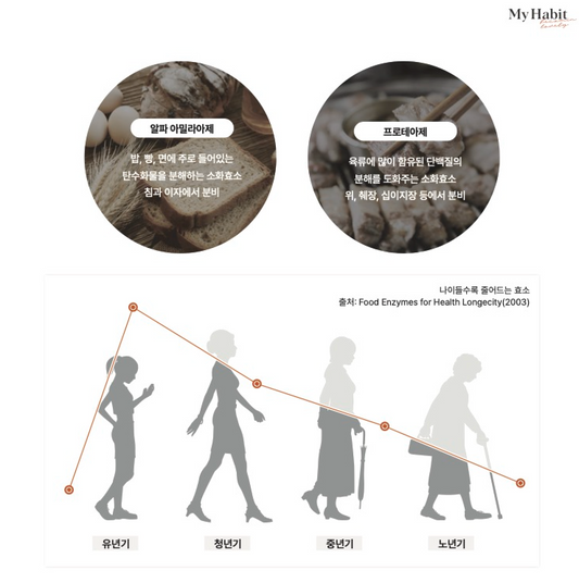 Premium Korean digestive enzymes | Digestive enzyme supplement for weight loss | Constipation relief and bloating support | Appetite suppressant capsules | Gut health and nutrient absorption | Korean enzyme formula for digestion