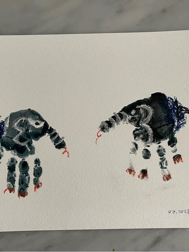 Suriboy's Collection